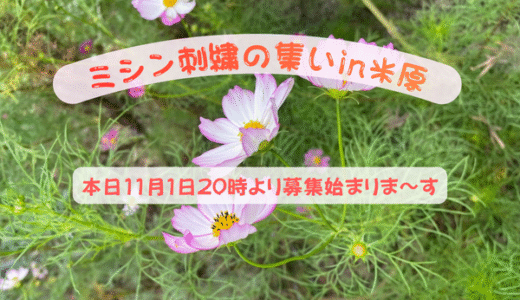 「ミシン刺繍の集いin米原」募集スタート♡孫のドタバタ七五三(^^)