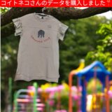 やんのか？？？やりません❣️