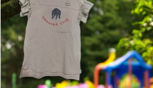 やんのか？？？やりません❣️