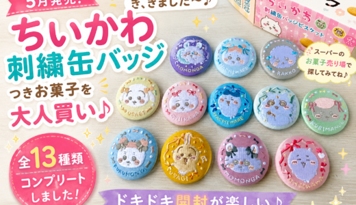 ちいかわ刺繍缶バッジ♪13種類コンプリートしました（笑）