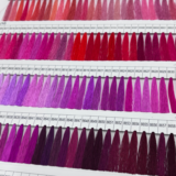 Wilcom EmbroideryStudio 2026の説明を受けてきました～♪