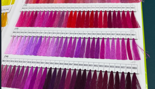 Wilcom EmbroideryStudio 2026の説明を受けてきました～♪
