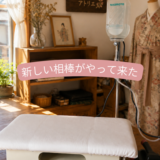 新しい相棒がやって来た＼(^o^)／