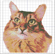 フォト刺繍を学んでいます💖